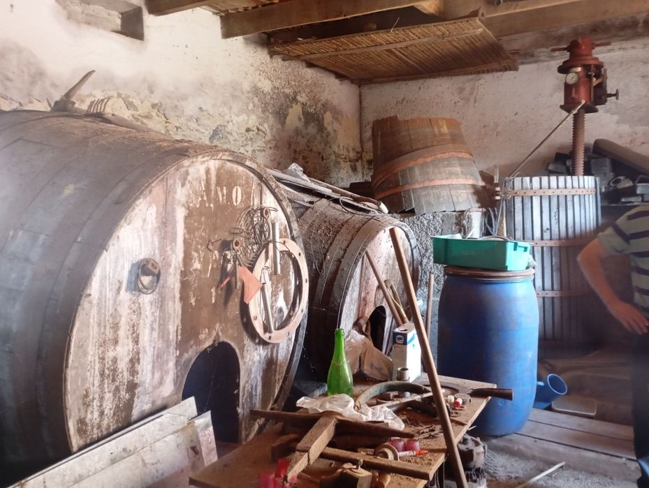 Pipas de vinho e imprensa