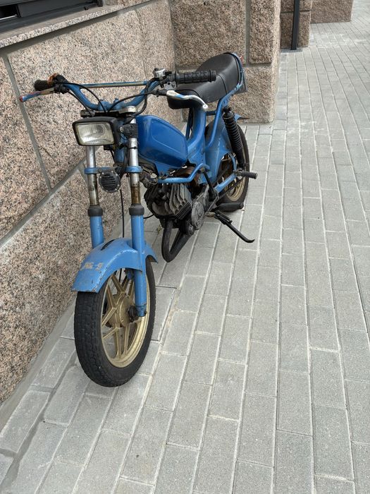 Vendo casal fundadora 2 k-168