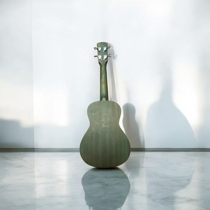 Ukulele-Laka + duas capas