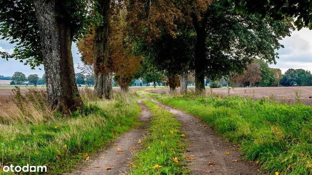 Działka z potencjałem – Sławno | Bobrowiczki