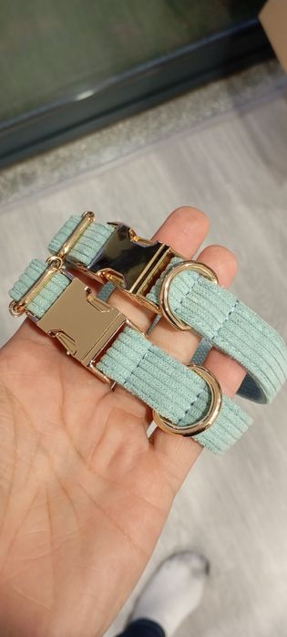 Duas Coleiras para cão