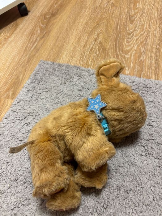 Інтерактивна іграшка собачка Moose Little Live Pets My Dream Puppy