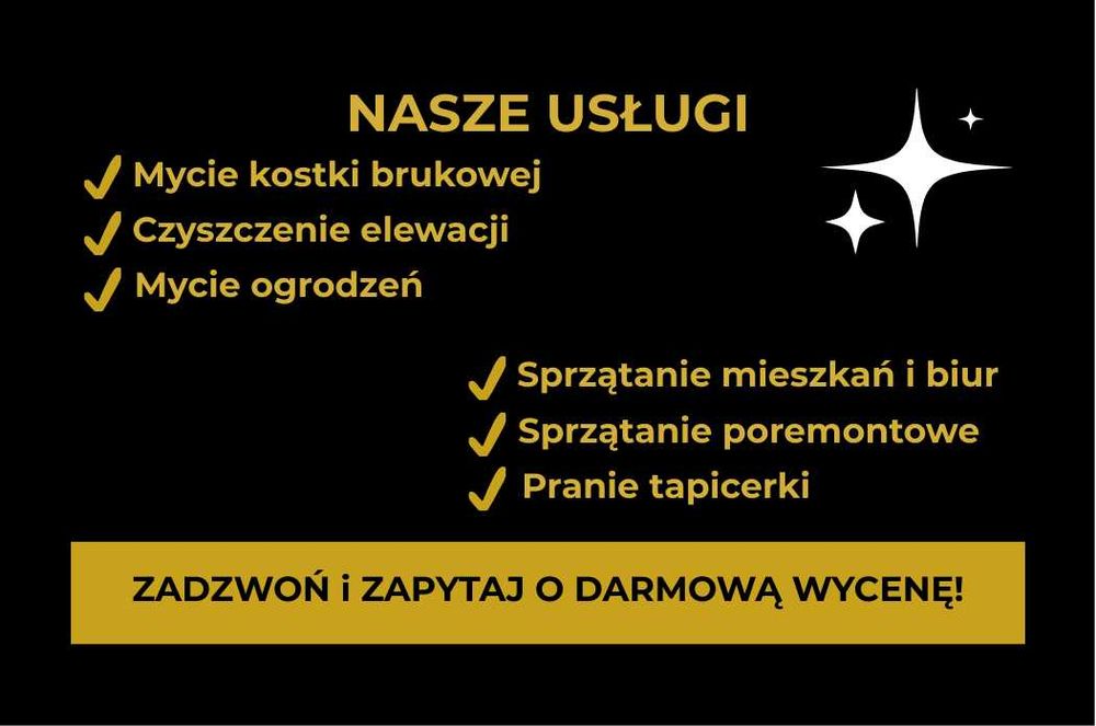 Profesjonalne mycie kostki brukowej i elewacji | Firma | OC | Paragon