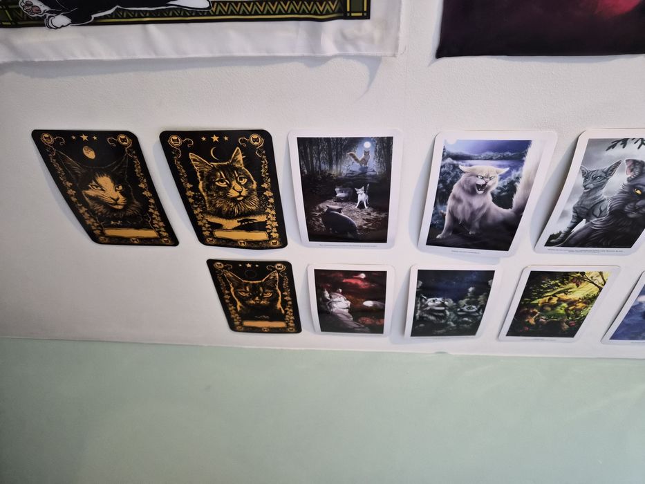 Sprzedam dodatki wojownicy Erin hunter