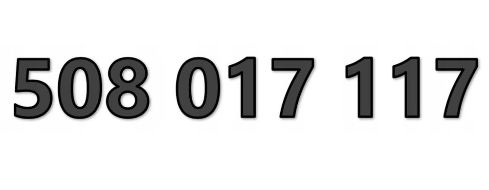 Złoty numer 508 017 117 Podnieś atrakcyjność swojej firmy