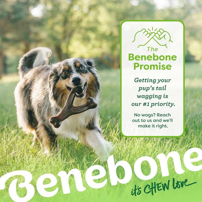 Жувальна іграшка Benebone Wishbone для агресивних собак, США