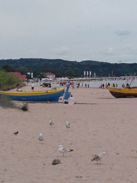 JELITKOWO-ŻABIANKA blisko Ergo Areny.Wolne.