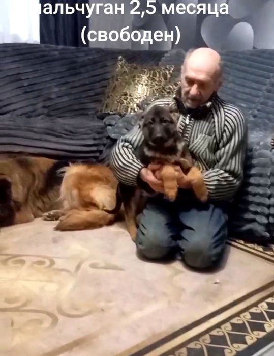 Мальчики и девочки,крупные и яркие.