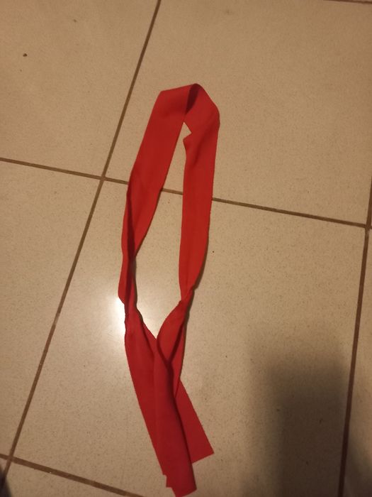 Fato carnaval Zorro