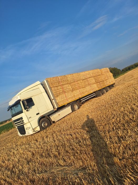 Słoma Siano Sianokiszonka Bele Kostki Wysłodki Kukurydza