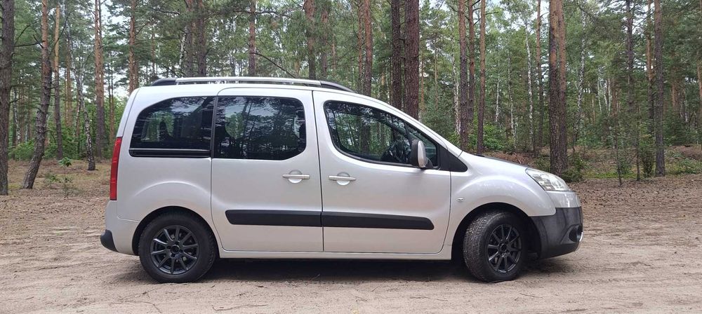 Peugeot Partner Tepee 2009