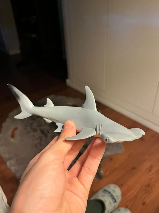 tubarão martelo é do oceanario, O tubarão limão é da cience4you e o T-rex também e o dinossauro Estegossauro (Stegosaurus