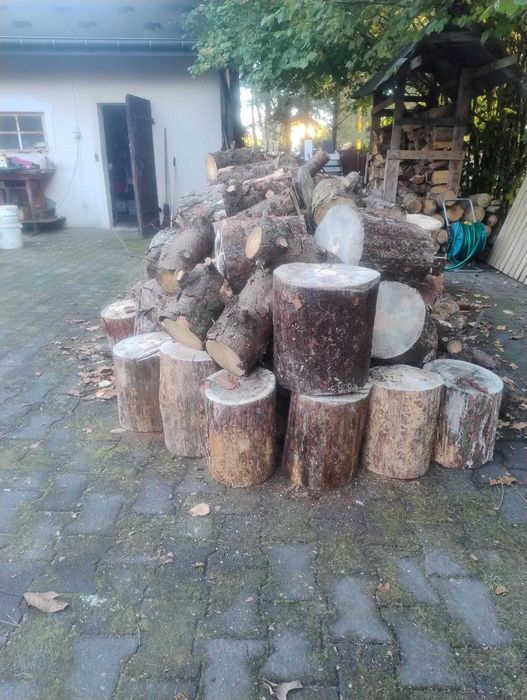 Drewno opałowe sosna