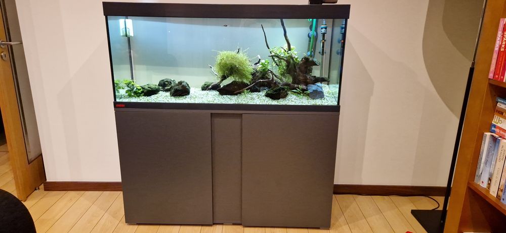 Aquário plantado 240L EHEIM água quente com todos os acessórios