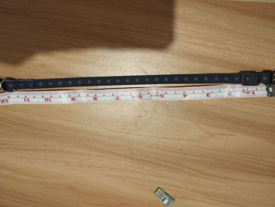 Obroża dla kota/ małego psa