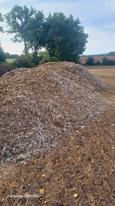 Pomiot kurzy duże ilości