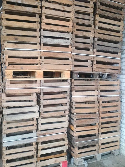 Skrzynki drewniane klatki