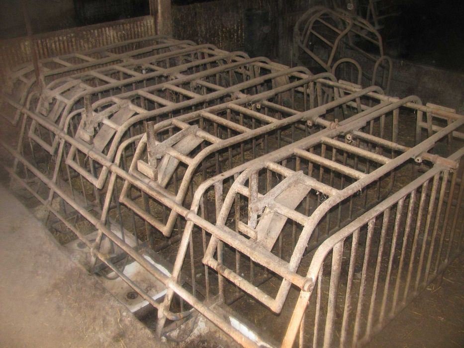 zagrody stanowiska dla trzody świń loch pojedyncze kojce otwierane