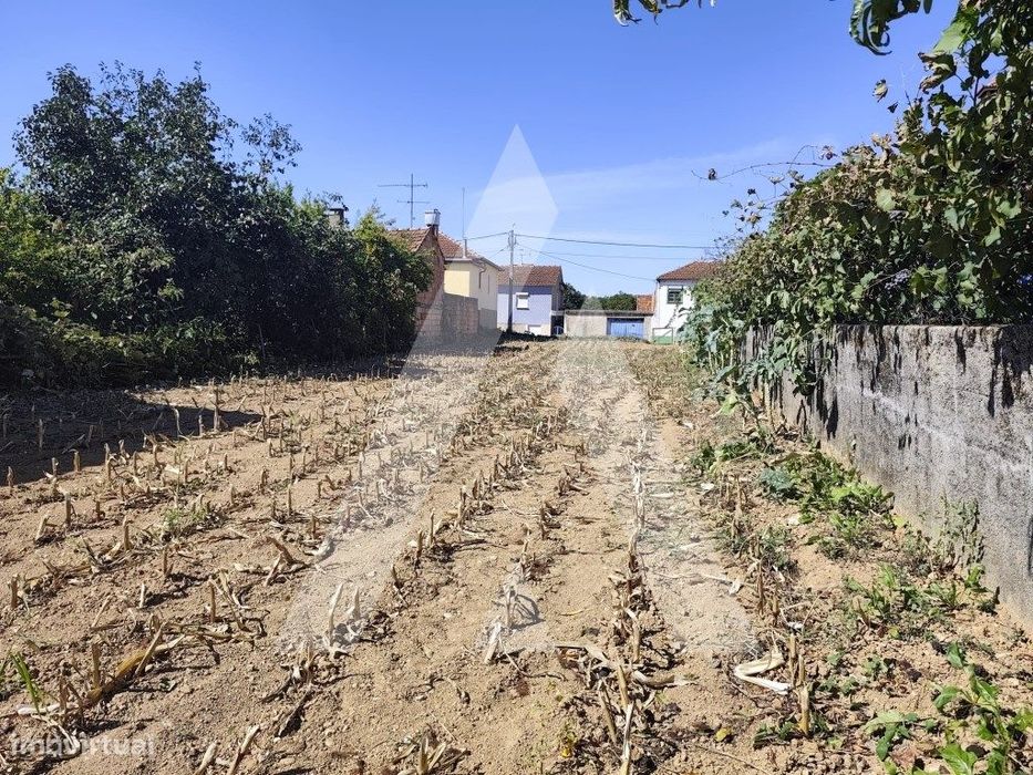 Terreno para construção de moradia em Águeda