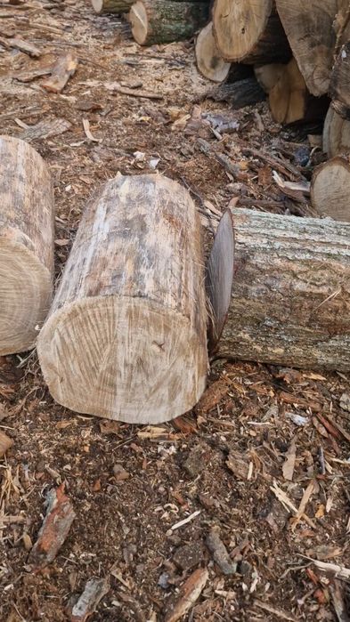 Drewno opałowe, kominkowe  niskie ceny!
