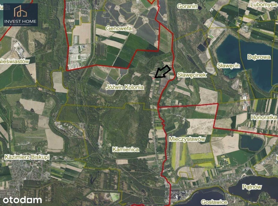 Duża działka 3614 m² przy lesie | Jóźwin | MPZP - Widok 5