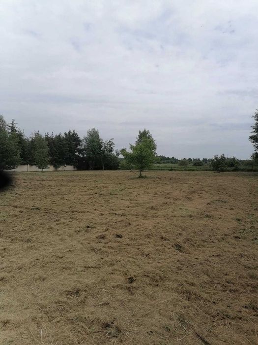Działka budowlana na sprzedaż w Jordanowie Śląskim przy ul. Wrocławskiej o pow. 5257 m², cena 115 zł. za m2. Dobra inwestycja pod Wrocławiem! - Widok 4