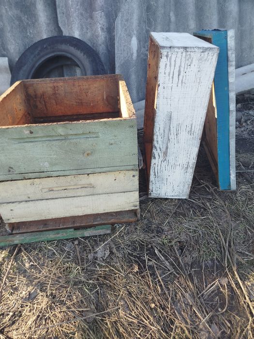 Продажа ульев для пчел