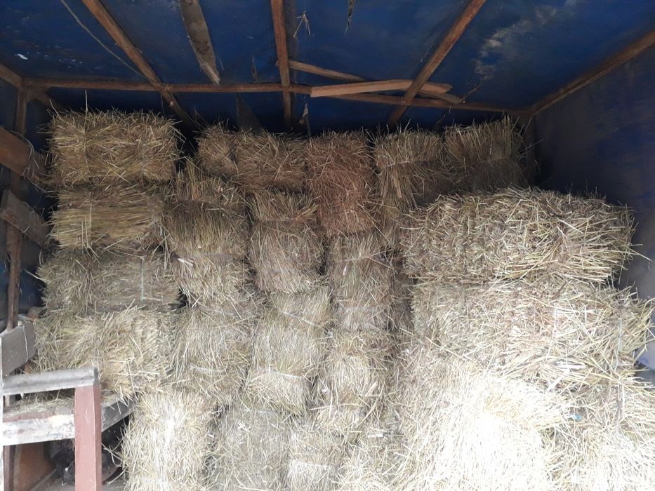 Продам сіно лугове