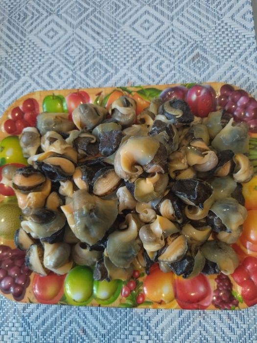 Продаю свежие рапаны, мясо рапана свежо словленный