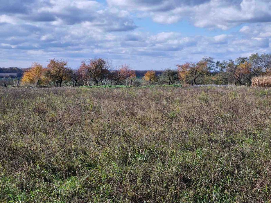 Продається будинок в Лукашівці