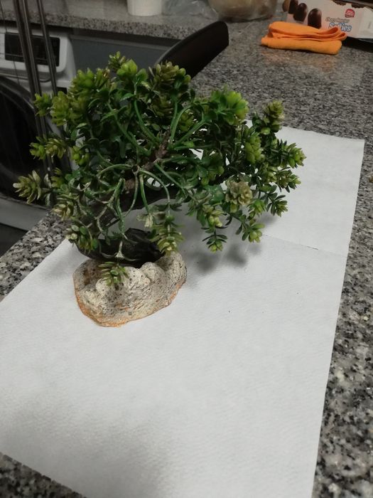 Decoração para aquário