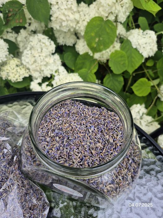 Розпродаж: Лаванда, лавандовий чай (сухоцвіт), саше