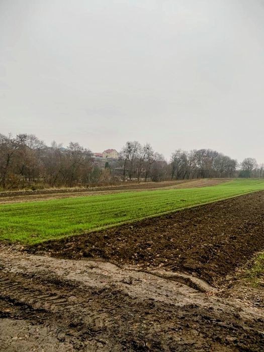 Земельна ділянка в Обарові.