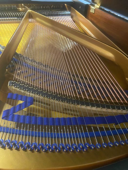 Okazja Bluthner 165 cm. Nowa cenę