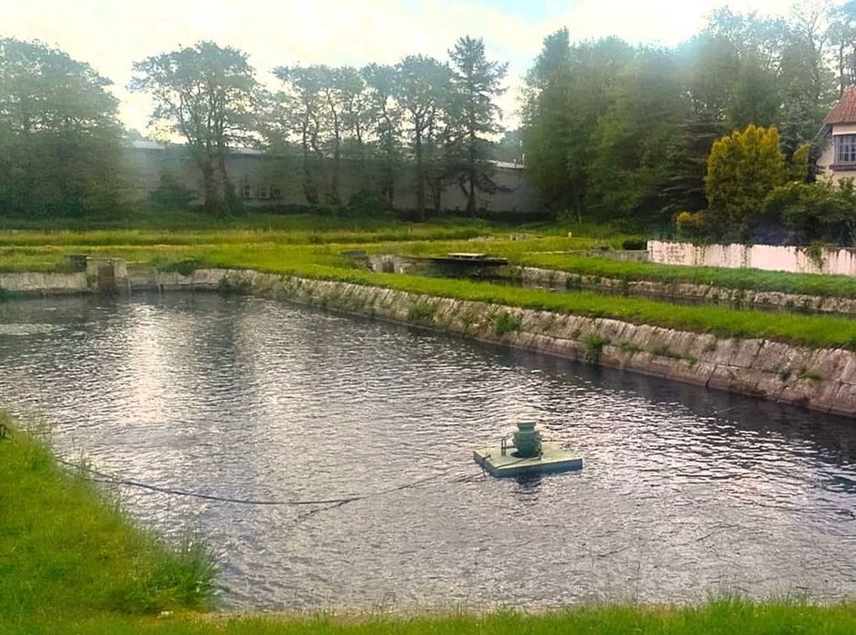 Praca na hodowli pstrąga