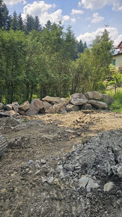 Kamień narzutowy,głazy