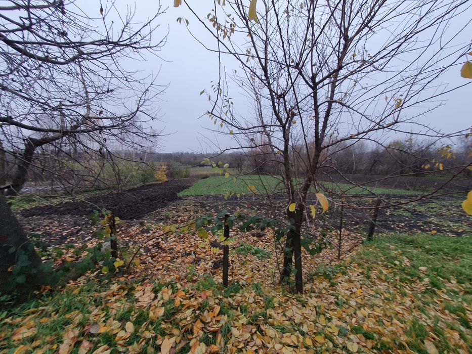 Продам будинок. смт Ямпіль