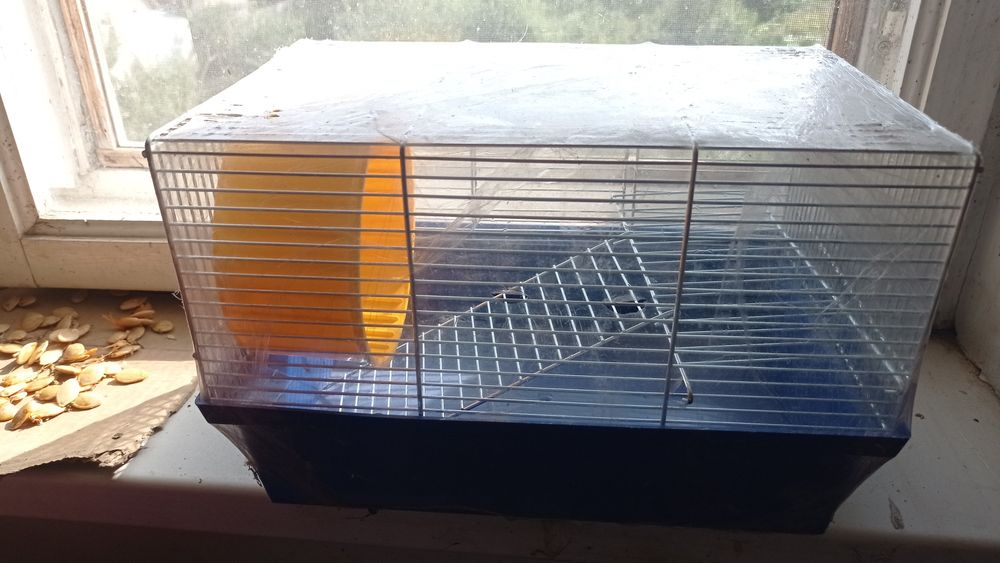 Домашні хомячки джунгарики Клітки