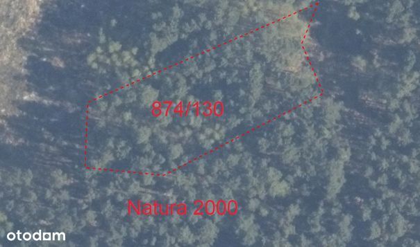 Działka 3246 m² z mediami blisko lasu