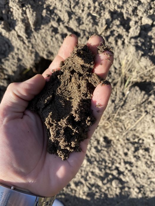 Ziemia piach pospółka