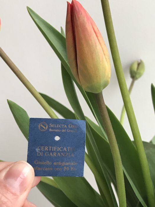 Selecta Oro Италия 24 Кар Брош брошка подарунок сувенір презент жінки