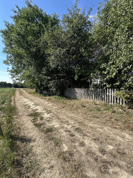 Działka - Siedlisko na sprzedaż