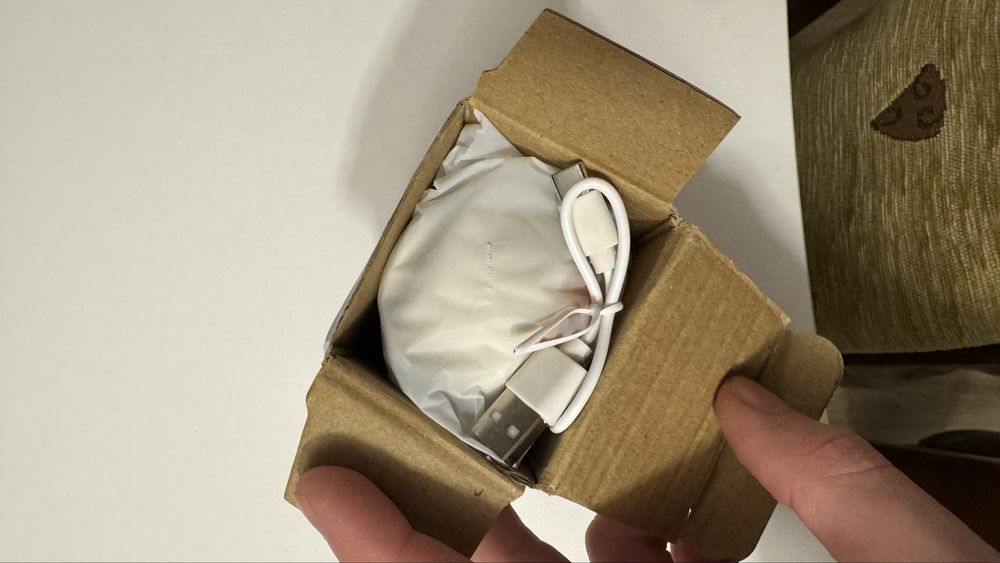 Szczotka parowa dla kota / psa