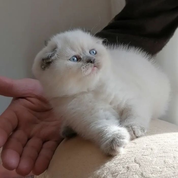 Неймовірні хлочик і дівчинка