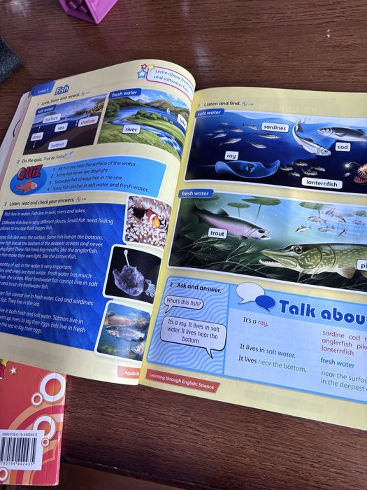 Incredible English 4