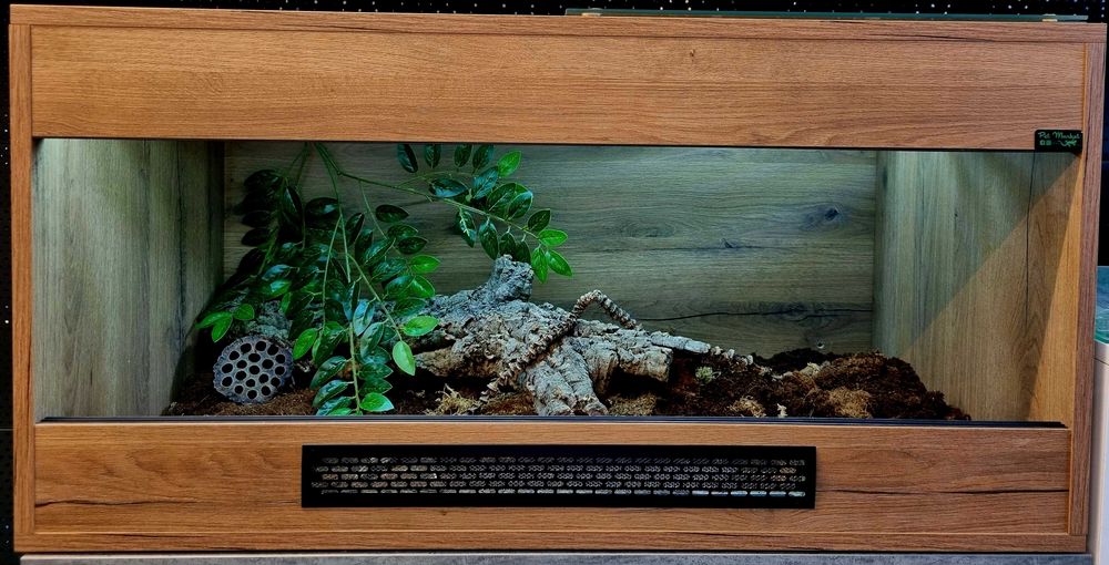 Terrarium 100x50x50 pyton wąż boa jaszczurka