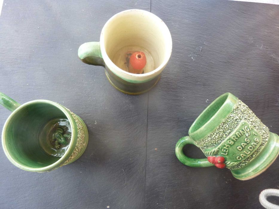 Memórias das Caldas