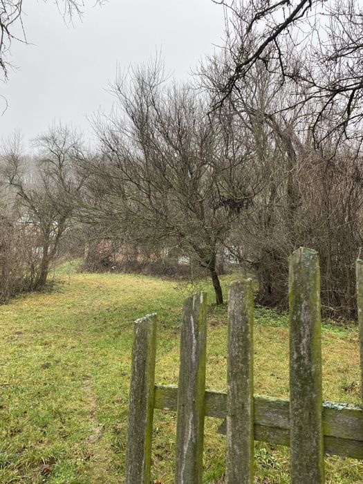 Лубны(Мгарь) дом+24+12 соток, возле речки.