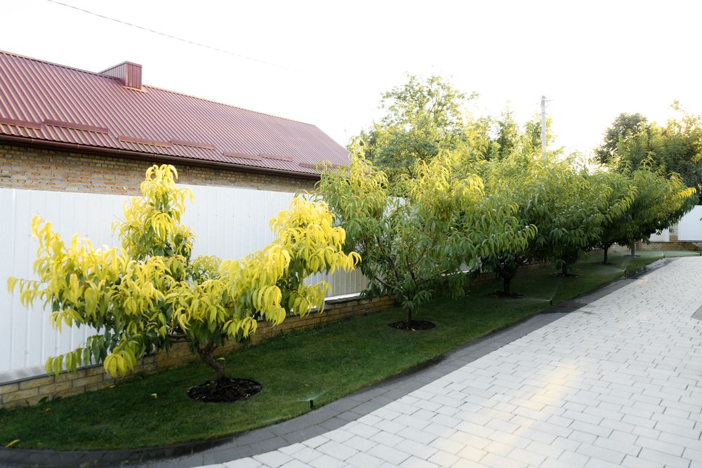 Продаж елітного будинку у пригороді Тернополя, с.Байківці