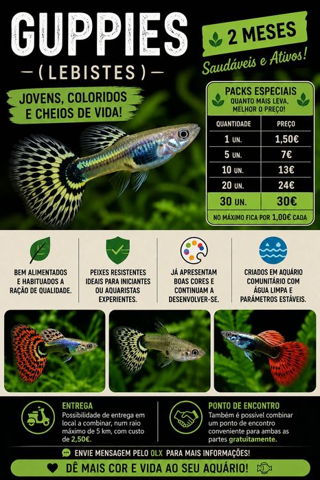 Guppies / Lebistes – Jovens 2 meses | Packs desde 1€